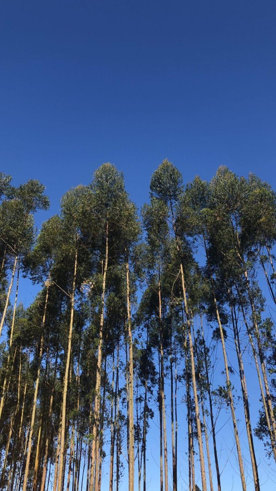 Pousada Vo Lica Com Piscina Penha  Exterior foto